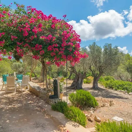 Can Tiona Holiday home